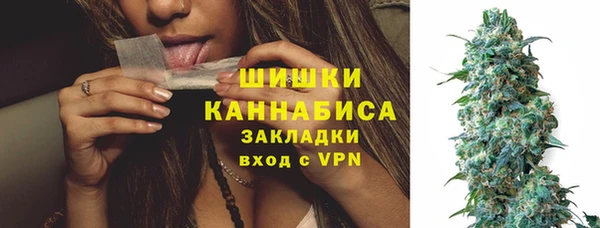 PSILOCYBIN Балахна