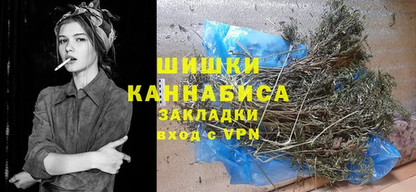 PSILOCYBIN Балахна
