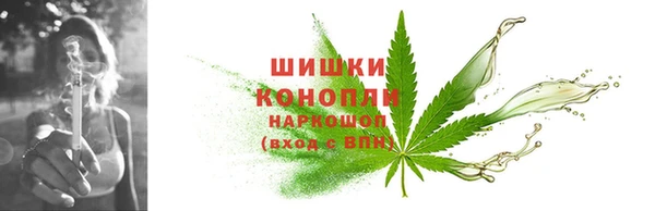 PSILOCYBIN Балахна